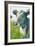 Painterly Cow III-Grace Popp-Framed Art Print