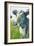 Painterly Cow III-Grace Popp-Framed Art Print