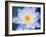 Painterly Flower III-Lola Henry-Framed Photographic Print