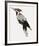 Painterly Perch - Calm-Maja Gunnarsdottir-Framed Giclee Print