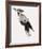 Painterly Perch - Calm-Maja Gunnarsdottir-Framed Giclee Print