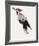 Painterly Perch - Calm-Maja Gunnarsdottir-Framed Giclee Print