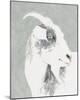 Painterly Portrait - Goat-Aurora Bell-Mounted Giclee Print