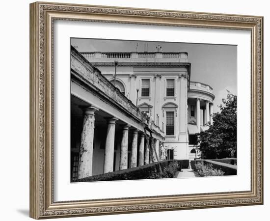 Painters Repainting the White House-null-Framed Photographic Print