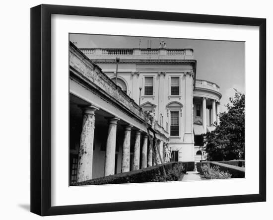 Painters Repainting the White House-null-Framed Photographic Print