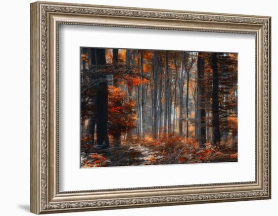 Painting Forest-Ildiko Neer-Framed Photographic Print