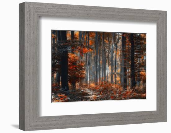 Painting Forest-Ildiko Neer-Framed Photographic Print