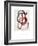 Painting II, 1967-Joan Miro-Framed Giclee Print