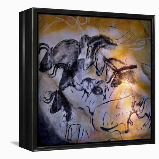 Painting in the Chauvet Cave, 32,000-30,000 Bc-null-Framed Premier Image Canvas