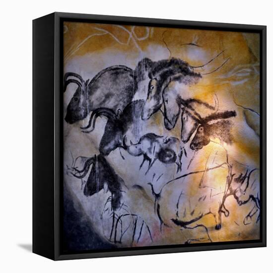 Painting in the Chauvet Cave, 32,000-30,000 Bc-null-Framed Premier Image Canvas