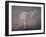 Painting of a Kangaroo at Nourlangie Rock, Australia-Robert Francis-Framed Photographic Print