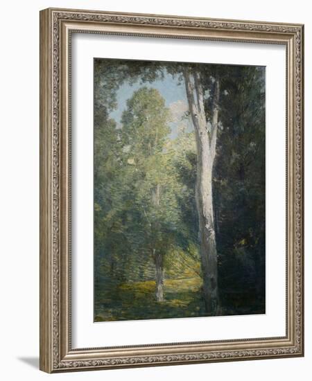 Painting of Birch Trees in Forest by Julian Alden Weir-Geoffrey Clements-Framed Giclee Print