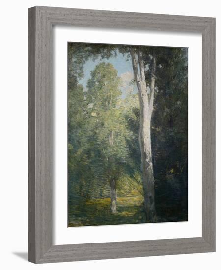 Painting of Birch Trees in Forest by Julian Alden Weir-Geoffrey Clements-Framed Giclee Print