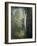 Painting of Birch Trees in Forest by Julian Alden Weir-Geoffrey Clements-Framed Giclee Print