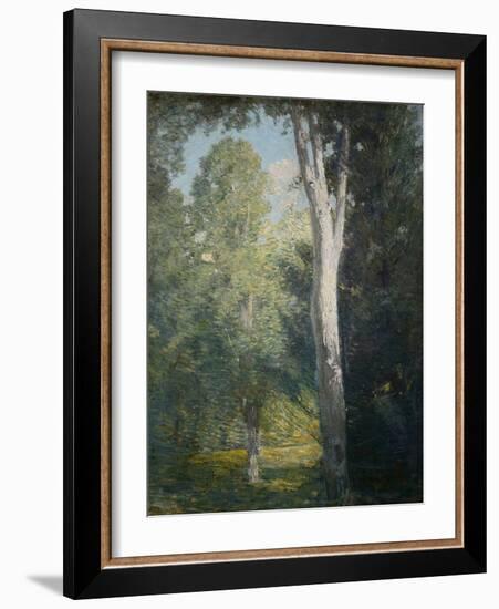 Painting of Birch Trees in Forest by Julian Alden Weir-Geoffrey Clements-Framed Giclee Print