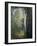 Painting of Birch Trees in Forest by Julian Alden Weir-Geoffrey Clements-Framed Giclee Print