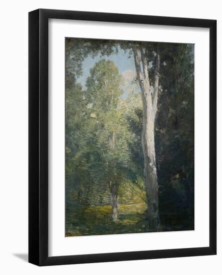 Painting of Birch Trees in Forest by Julian Alden Weir-Geoffrey Clements-Framed Giclee Print