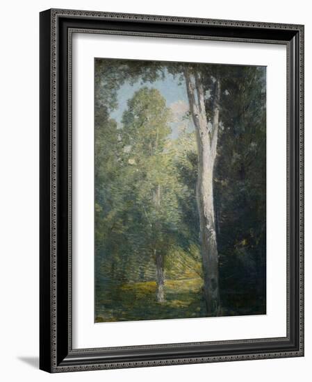 Painting of Birch Trees in Forest by Julian Alden Weir-Geoffrey Clements-Framed Giclee Print