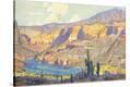 Stretched Canvas Print