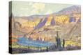Stretched Canvas Print
