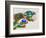 Painting of Dragon, Thimphu, Bhutan-Keren Su-Framed Photographic Print