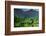 Painting of Nature-Hardibudi-Framed Photographic Print