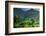 Painting of Nature-Hardibudi-Framed Photographic Print