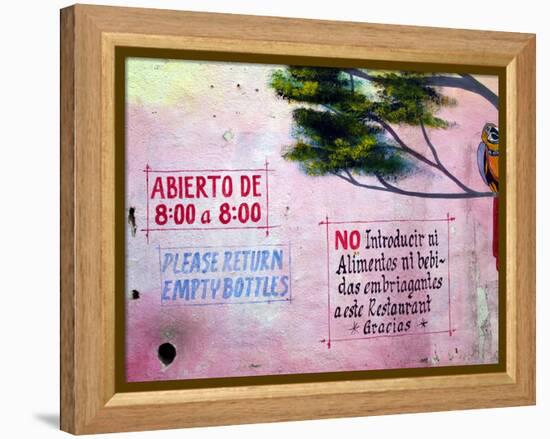 Painting of Parrot in Tree, Puerto Vallarta, Mexico-Nancy & Steve Ross-Framed Premier Image Canvas