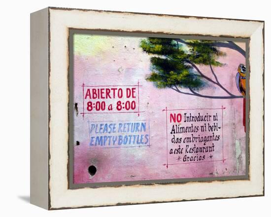 Painting of Parrot in Tree, Puerto Vallarta, Mexico-Nancy & Steve Ross-Framed Premier Image Canvas