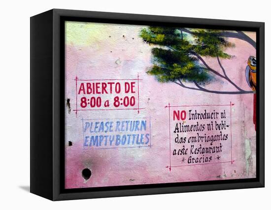 Painting of Parrot in Tree, Puerto Vallarta, Mexico-Nancy & Steve Ross-Framed Premier Image Canvas