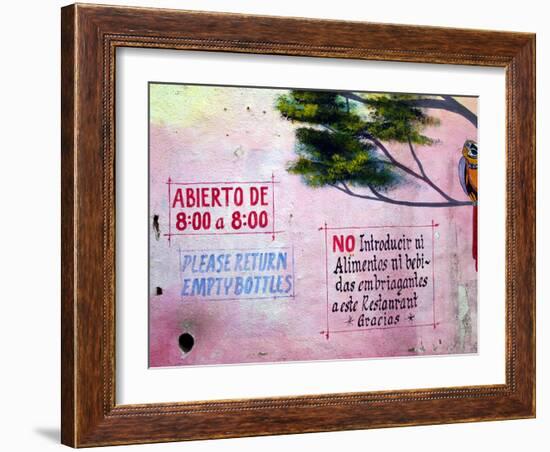 Painting of Parrot in Tree, Puerto Vallarta, Mexico-Nancy & Steve Ross-Framed Photographic Print