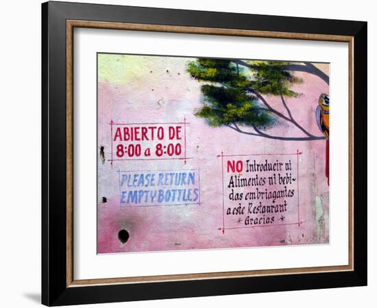 Painting of Parrot in Tree, Puerto Vallarta, Mexico-Nancy & Steve Ross-Framed Photographic Print