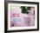 Painting of Parrot in Tree, Puerto Vallarta, Mexico-Nancy & Steve Ross-Framed Photographic Print