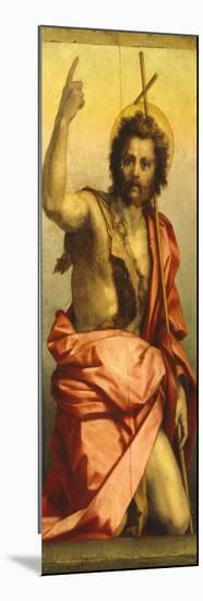 Painting of St John the Baptist-Andrea del Sarto-Mounted Giclee Print