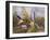 Painting of the French Countryside by Alfred Sisley-Geoffrey Clements-Framed Giclee Print