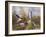 Painting of the French Countryside by Alfred Sisley-Geoffrey Clements-Framed Giclee Print