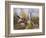 Painting of the French Countryside by Alfred Sisley-Geoffrey Clements-Framed Giclee Print