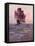 Painting of the Mayflower, Ship That Carried Pilgrims from England to New England Shore of America-null-Framed Premier Image Canvas