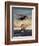 Painting og a Plane Flying near a Ship-null-Framed Art Print