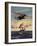 Painting og a Plane Flying near a Ship-null-Framed Art Print