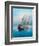 Painting. Oil on Canvas. Shows a 19 Th Century Sailing Ship. the Painting Was Created in 2008.-Dudchik-Framed Art Print