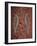 Paintings from the Dreamtime Including Two Birds, Australia, Pacific-Dominic Harcourt-webster-Framed Photographic Print