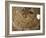 Paintings in Rock Cut Church, Ihlara Gorge, Cappadocia, Anatolia, Turkey, Eurasia-David Poole-Framed Photographic Print