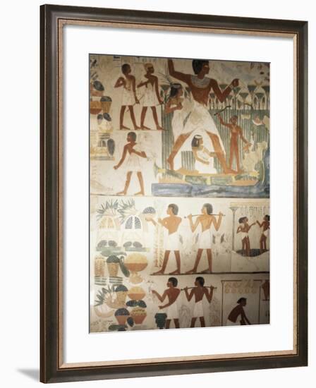 Paintings of Scenes of Everday Life in the Tomb of Nakht-Jack Jackson-Framed Photographic Print