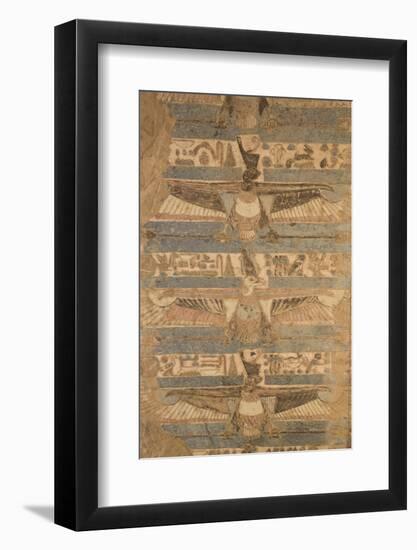 Paintings of Vultures on the Ceiling-Richard Maschmeyer-Framed Photographic Print