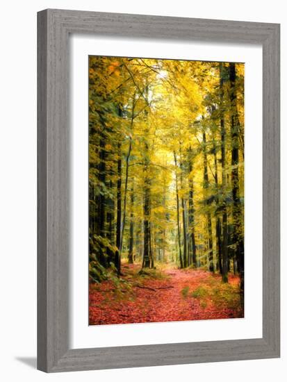 Paintography Wood-Philippe Sainte-Laudy-Framed Photographic Print