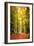 Paintography Wood-Philippe Sainte-Laudy-Framed Photographic Print