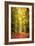 Paintography Wood-Philippe Sainte-Laudy-Framed Photographic Print