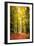 Paintography Wood-Philippe Sainte-Laudy-Framed Photographic Print