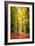 Paintography Wood-Philippe Sainte-Laudy-Framed Photographic Print